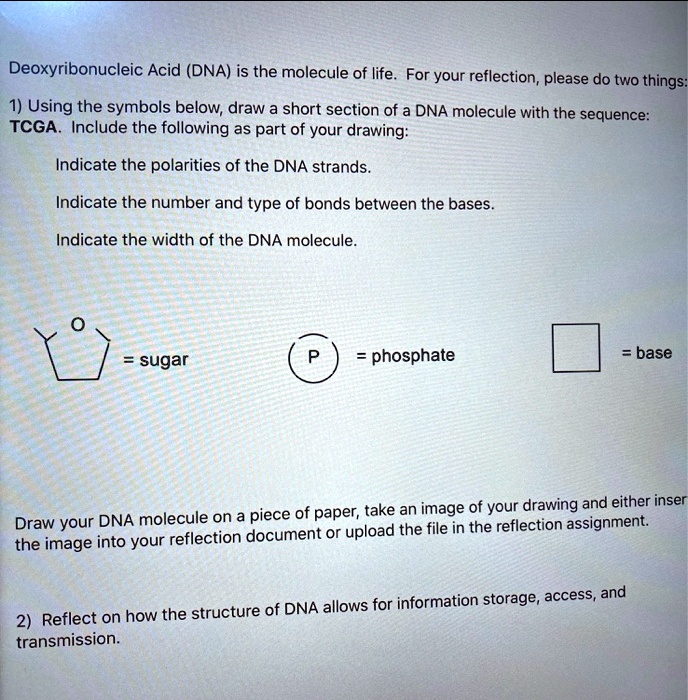 SOLVED: Deoxyribonucleic Acid (DNA) is the molecule of life For your ...