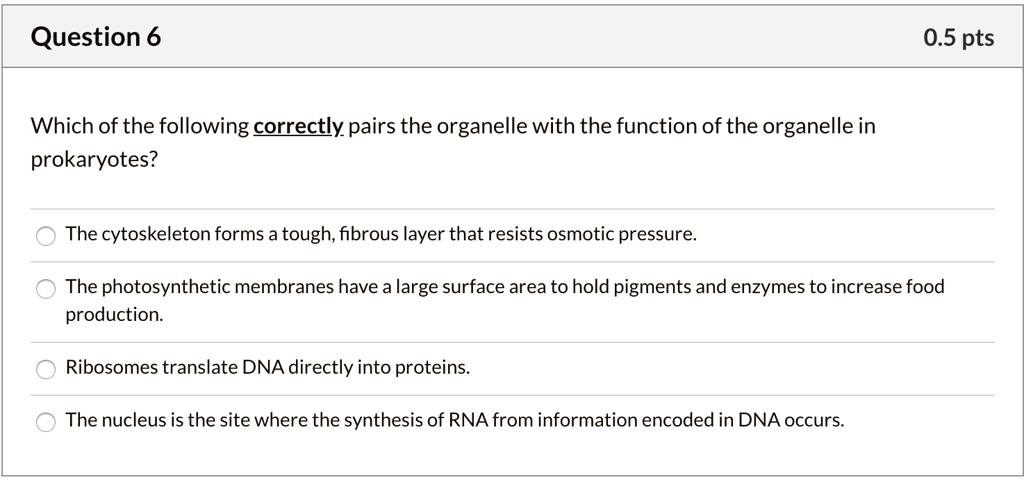 Which of the following correctly pairs the organelle with the function of the organelle in prokaryotes?

The cytoskeleton forms a tough, fibrous layer that resists osmotic pressure.
The photosynthetic membranes have a large surface area to hold pigments and enzymes to increase food production.
Ribosomes translate DNA directly into proteins.
The nucleus is the site where the synthesis of RNA from information encoded in DNA occurs.