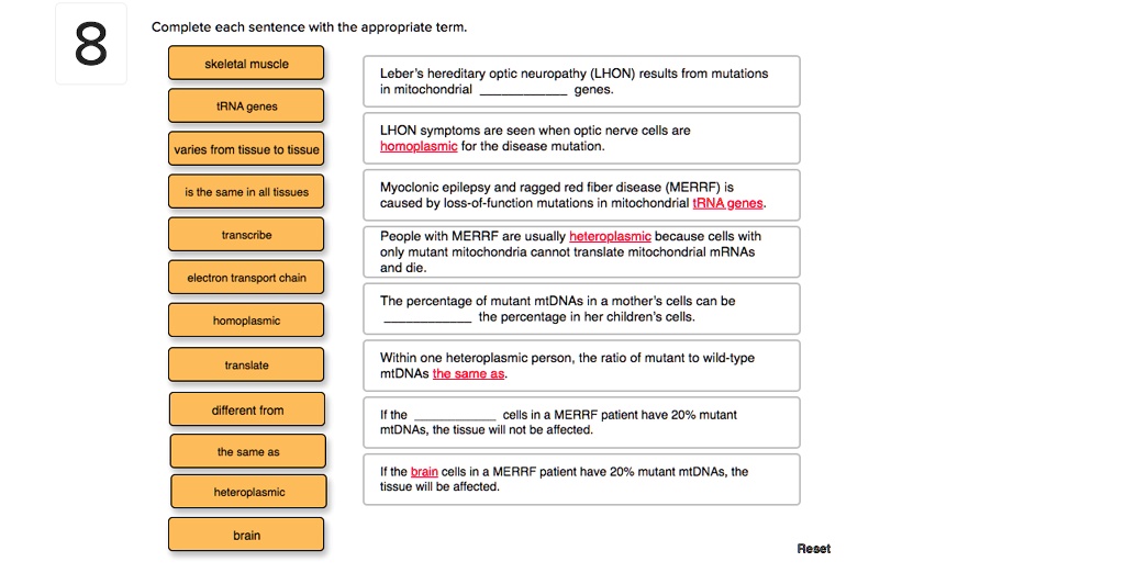 Complete each sentence with the appropriate term.
skeletal muscle
tRNA genes
varies from tissue to tissue
is the same in all tissues
transcribe
electron transport chain
homoplasmic
translate
different from
the same as
heteroplasmic
brain
Leber's hereditary optic neuropathy (LHON) results from mutations in mitochondrial genes.
LHON symptoms are seen when optic nerve cells are homoplasmic for the disease mutation.
Myoclonic epilepsy and ragged red fiber disease (MERRF) is caused by loss-of-function mutations in mitochondrial tRNA genes.
People with MERRF are usually heteroplasmic because cells with only mutant mitochondria cannot translate mitochondrial mRNAs and die.
The percentage of mutant mtDNAs in a mother's cells can be the percentage in her children's cells.
Within one heteroplasmic person, the ratio of mutant to wild-type mtDNAs the same as.
If the cells in a MERRF patient have 20% mutant mtDNAs, the tissue will not be affected.
If the brain cells in a MERRF patient have 20% mutant mtDNAs, the tissue will be affected. Reset