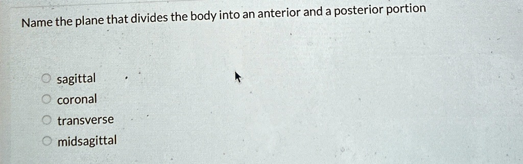 Name the plane that divides the body into an anterior and a posterior ...
