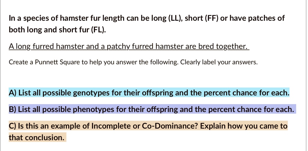 In a species of hamster fur length can be long (LL), short (FF) or have patches of both long and short fur (FL).

A long furred hamster and a patchy furred hamster are bred together.

Create a Punnett Square to help you answer the following. Clearly label your answers.

A) List all possible genotypes for their offspring and the percent chance for each.
B) List all possible phenotypes for their offspring and the percent chance for each.
C) Is this an example of Incomplete or Co-Dominance? Explain how you came to that conclusion.
