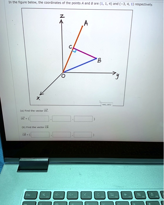 SOLVED: In the figure below, the coordinates of the points A and B are ...