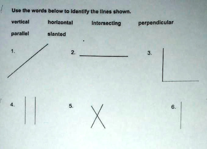 SOLVED: 'use the words below to identify the lines shown'