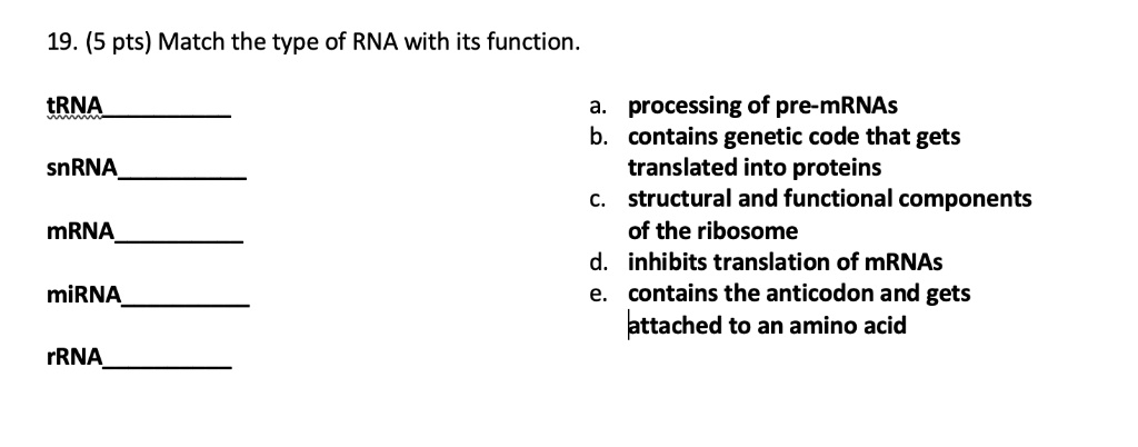 SOLVED: 19. (5 pts) Match the type of RNA with its function tRNA ...