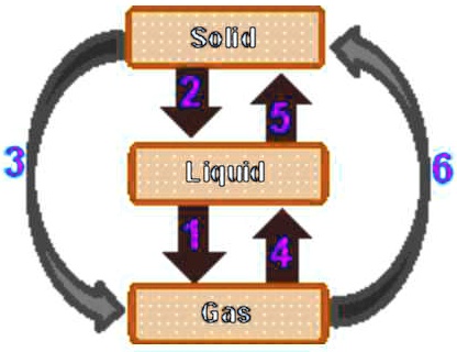 SOLVED: The diagram below shows the different phase transitions that ...