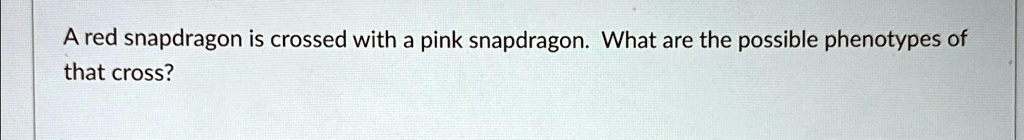 [GET ANSWER] A red snapdragon is crossed with a pink snapdragon. What ...