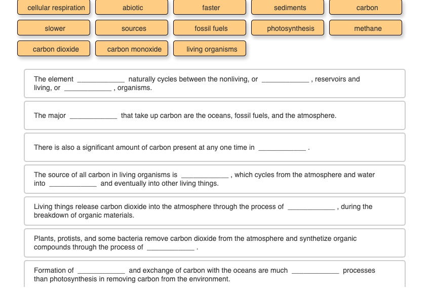 solved-cellular-respiration-abiotic-faster-sediments-carbon-slower