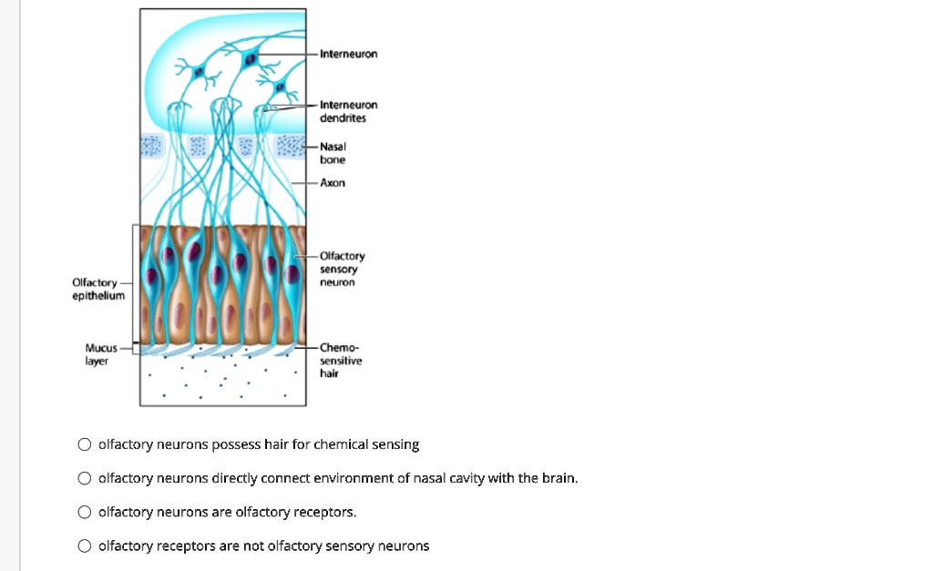SOLVED: Consider the figure and indicate which statement is false