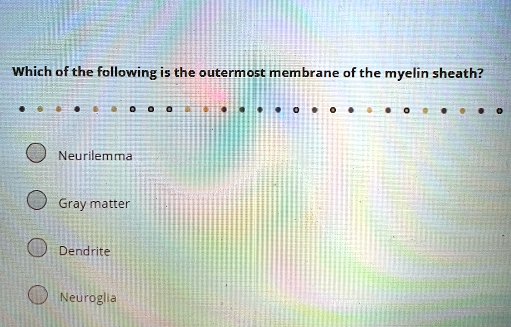 Which of the following is the outermost membrane of the myelin sheath?
Neurilemma
Gray matter
Dendrite
Neuroglia