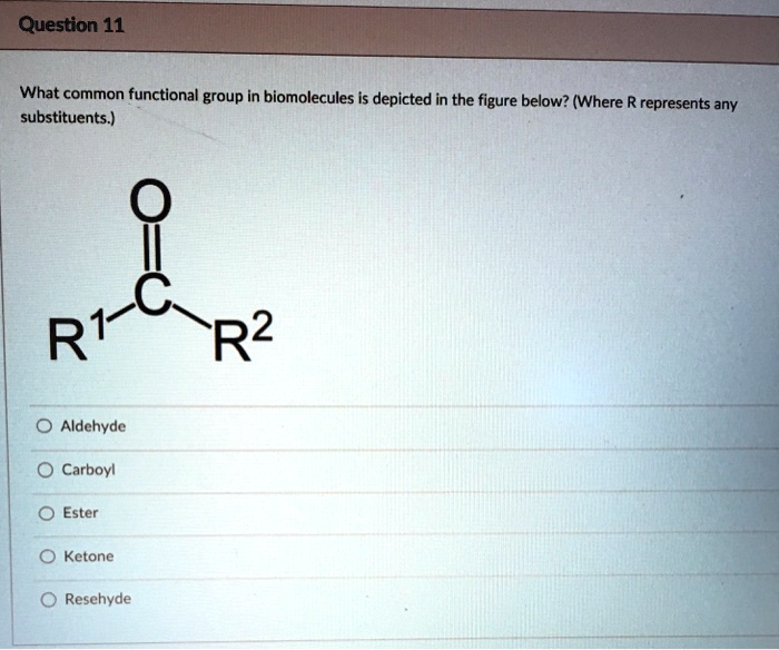 SOLVED What common functional group in biomolecules is depicted in the figure below? (Where R