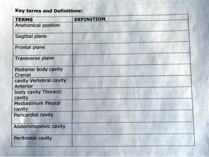 SOLVED: Key terms and Definitions: TERMS DEFINITION Anatomical position