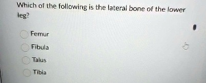 which of the following is the lateral bone of the lower leg femur ...