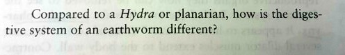 Compared to a Hydra or planarian, how is the digestive system of an earthworm different?
