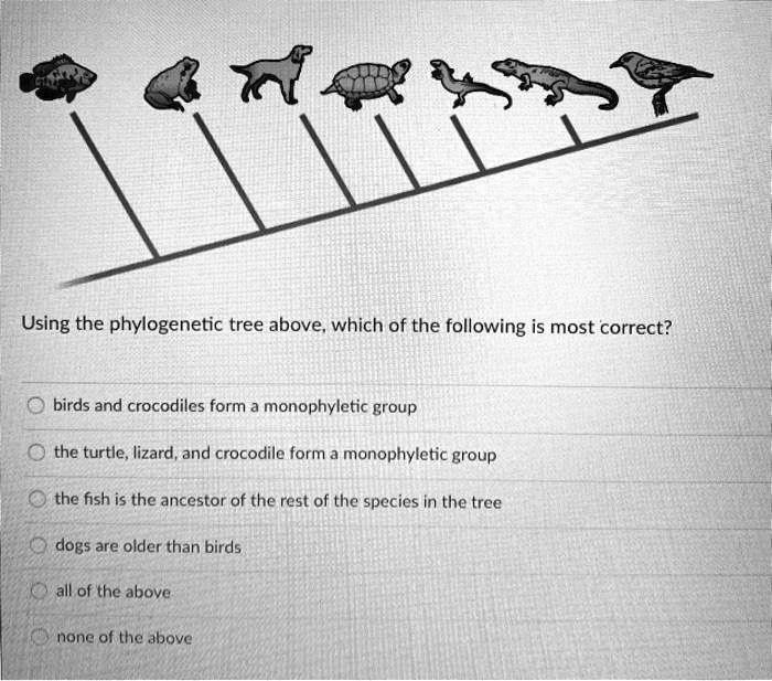SOLVED Using the tree above, which of the following is