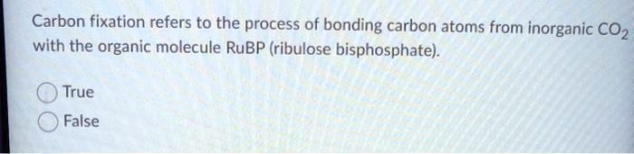 Carbon fixation refers to the process of bonding carbon atoms from inorganic CO2 with the organic molecule RuBP (ribulose bisphosphate).
True
False