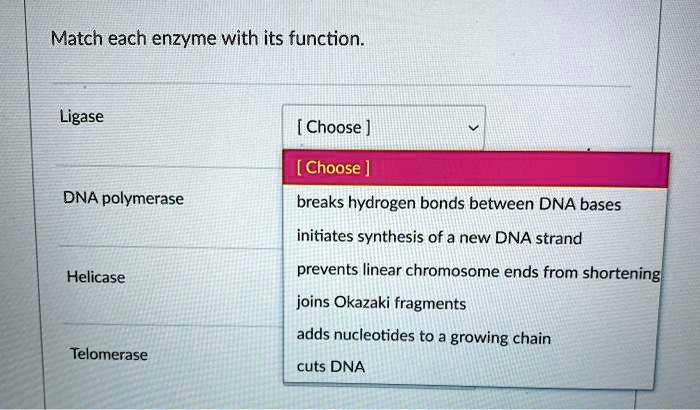 Match each enzyme with its function.
Ligase
DNA polymerase
Helicase
Telomerase
[ Choose ]
breaks hydrogen bonds between DNA bases
initiates synthesis of a new DNA strand
prevents linear chromosome ends from shortening
joins Okazaki fragments
adds nucleotides to a growing chain
cuts DNA