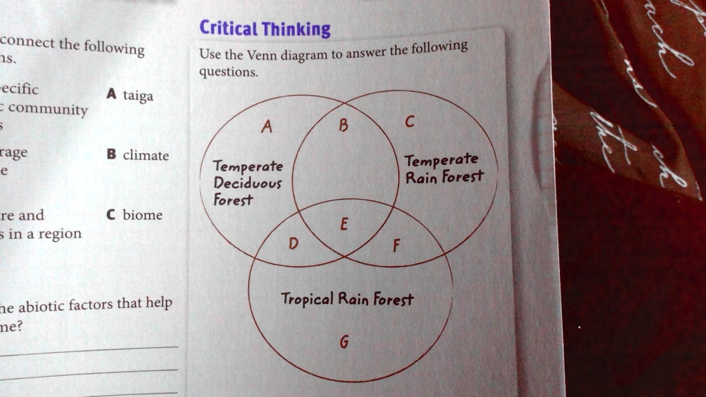 SOLVED: In which space on the Venn diagram would you write coniferous
