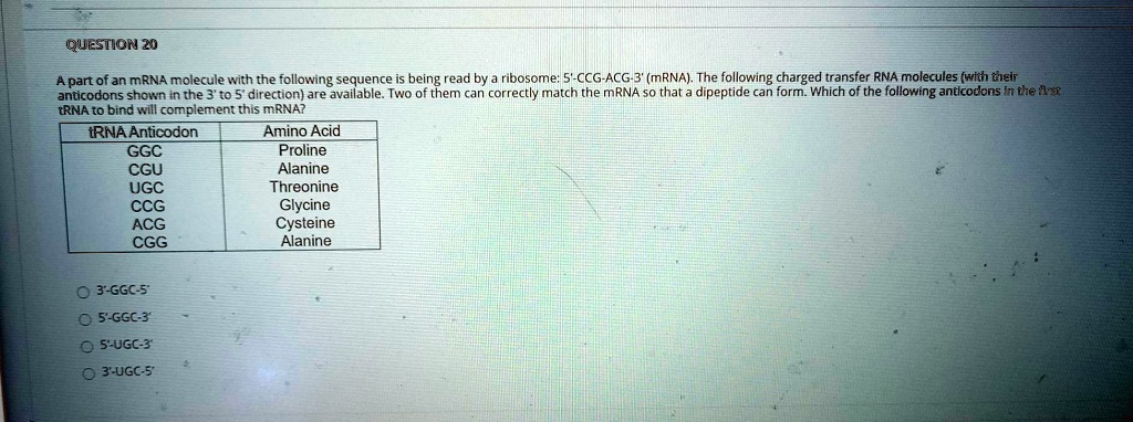 QUESTION 20

A part of an mRNA molecule with the following sequence is being read by a ribosome: 5'-CCG-ACG-3' (mRNA). The following charged transfer RNA molecules (with their anticodons shown in the 3' to 5' direction) are available. Two of them can correctly match the mRNA so that a dipeptide can form. Which of the following anticodons in the first tRNA to bind will complement this mRNA?

tRNA Anticodon | Amino Acid
GGC | Proline
CGU | Alanine
UGC | Threonine
CCG | Glycine
ACG | Cysteine
CGG | Alanine

3'-GGC-5'
5'-GGC-3'
5'-UGC-3'
3'-UGC-5'