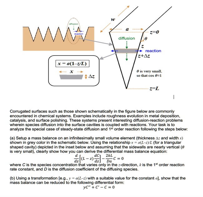 diffusion WWW reaction x = a(1-z/L) X ?? W a z=0 diffusion ? reaction z ...