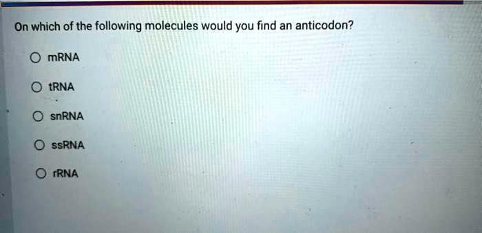 On which of the following molecules would you find an anticodon?
mRNA
tRNA
snRNA
ssRNA
rRNA