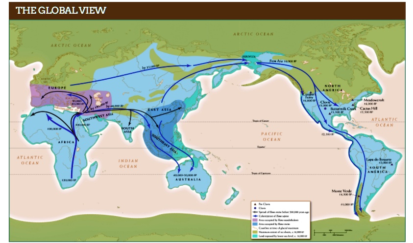 Solved: 1.a. According To This Map, When And To What Regions Did Homo 