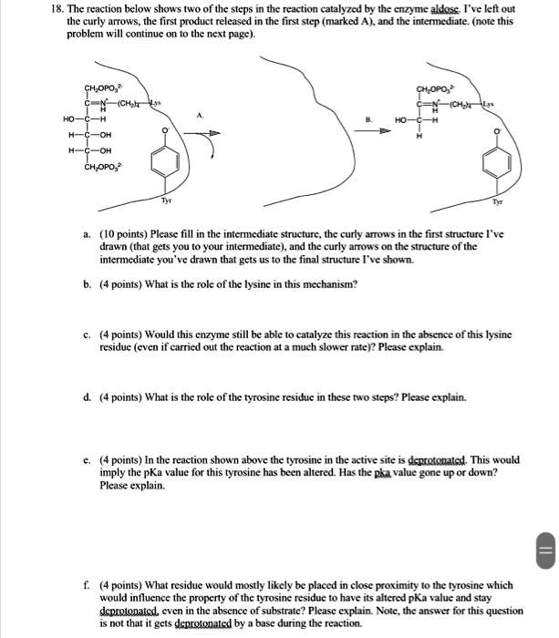 SOLVED 18 The Reaction Below Shows Iwo Ofthe Stcps In The Reaction solved-18-the-reaction-below-shows-iwo-ofthe-stcps-in-the-reaction