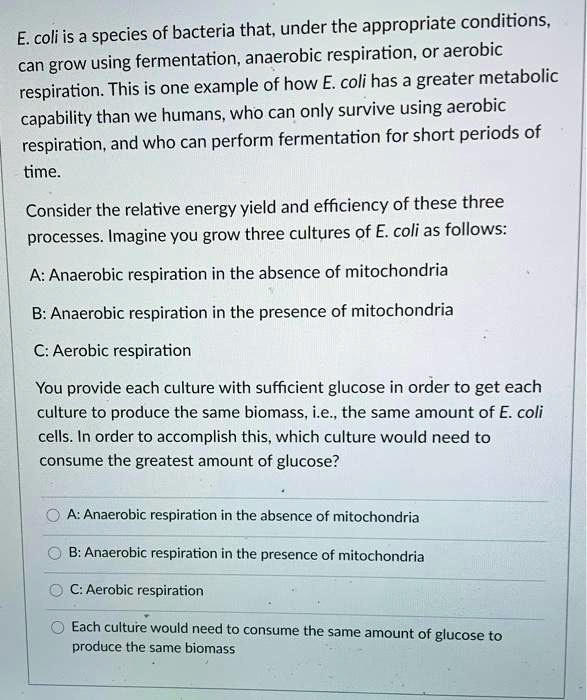 E. coli is a species of bacteria that, under the appropriate conditions, can grow using fermentation, anaerobic respiration, or aerobic respiration. This is one example of how E. coli has a greater metabolic capability than we humans, who can only survive using aerobic respiration, and who can perform fermentation for short periods of time.

Consider the relative energy yield and efficiency of these three processes. Imagine you grow three cultures of E. coli as follows:

A: Anaerobic respiration in the absence of mitochondria
B: Anaerobic respiration in the presence of mitochondria
C: Aerobic respiration

You provide each culture with sufficient glucose in order to get each culture to produce the same biomass, i.e., the same amount of E. coli cells. In order to accomplish this, which culture would need to consume the greatest amount of glucose?

A: Anaerobic respiration in the absence of mitochondria
B: Anaerobic respiration in the presence of mitochondria
C: Aerobic respiration
Each culture would need to consume the same amount of glucose to produce the same biomass