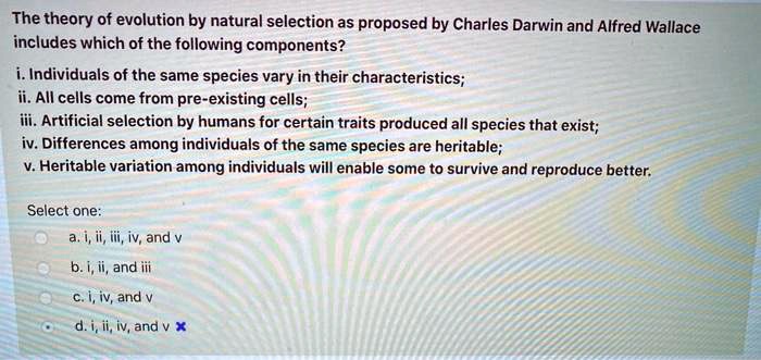 The theory of evolution by natural selection as proposed by Charles Darwin and Alfred Wallace includes which of the following components?
i. Individuals of the same species vary in their characteristics;
ii. All cells come from pre-existing cells;
iii. Artificial selection by humans for certain traits produced all species that exist;
iv. Differences among individuals of the same species are heritable;
v. Heritable variation among individuals will enable some to survive and reproduce better.

Select one:
a. i, ii, iii, iv, and v
b. i, ii, and iii
c. i, iv, and v
d. i, ii, iv, and v
