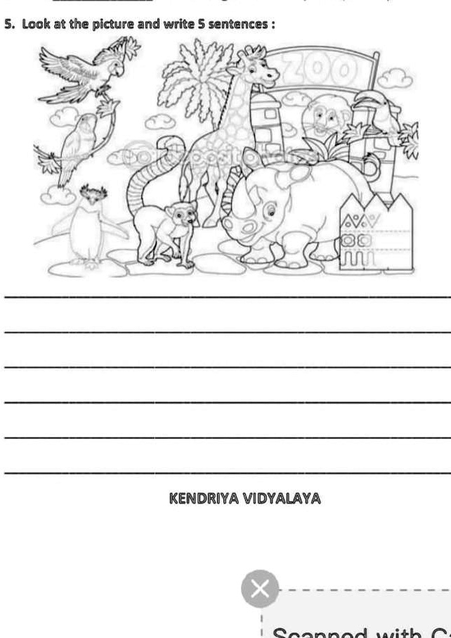 Solved look at the pictures and write 5 sentences kendriya vidyalaya
