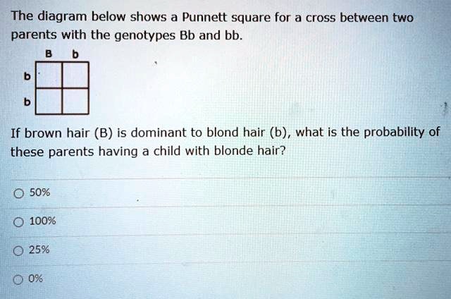 SOLVED: 'please Help Me With This Homework Question! The Diagram Below ...