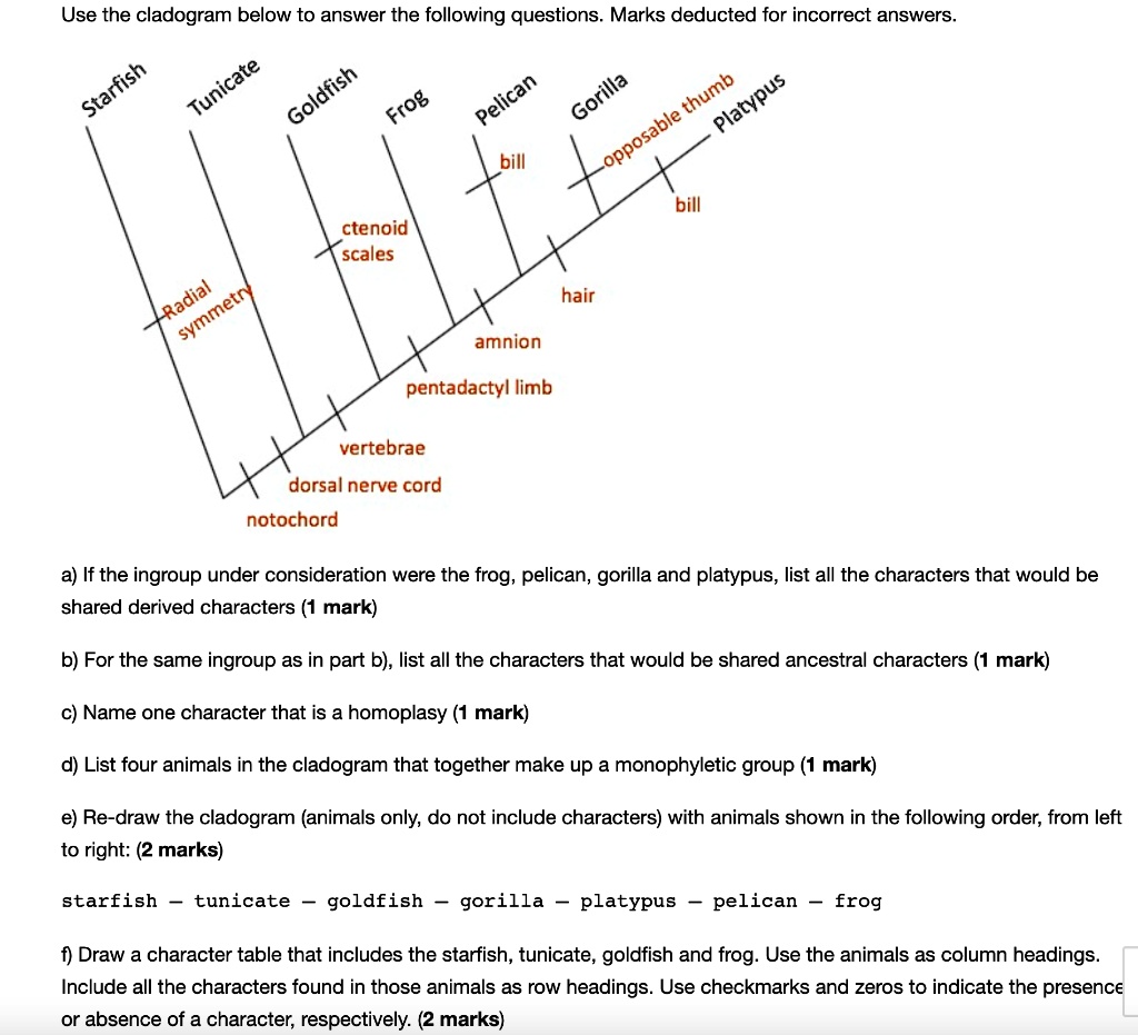 SOLVED: Use the cladogram below to answer the following questions ...