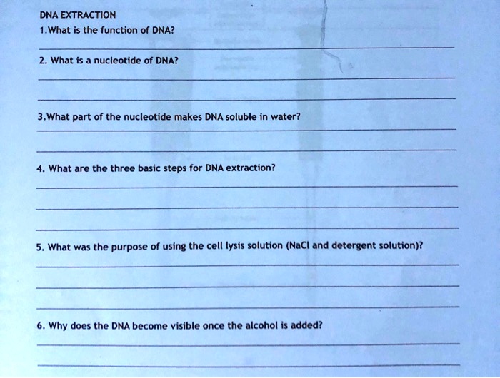SOLVED DNA EXTRACTION What is the function of DNA? What is the