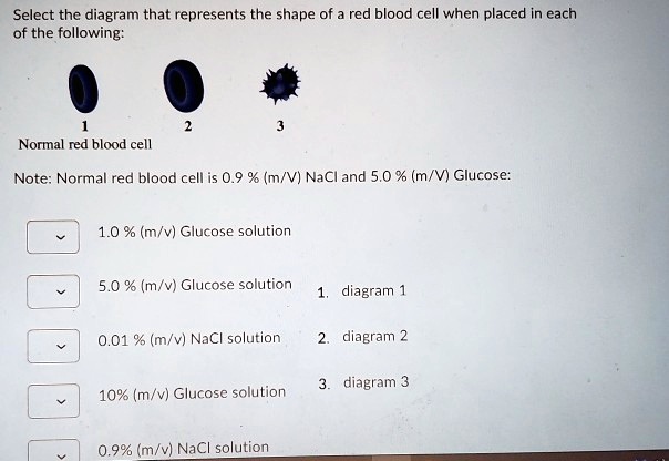 SOLVED:Select the diagram that represents the shape of red ...