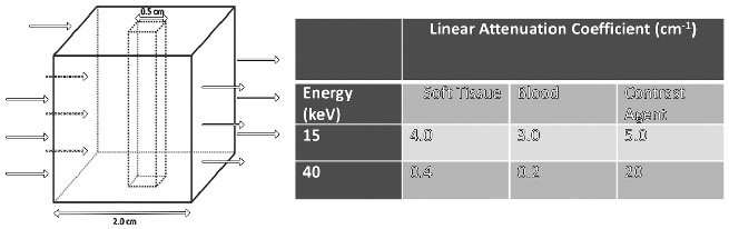 2.0 cm 0.5 cm Energy (keV) 15 40 Linear Attenuation Coefficient (cm?¹ ...