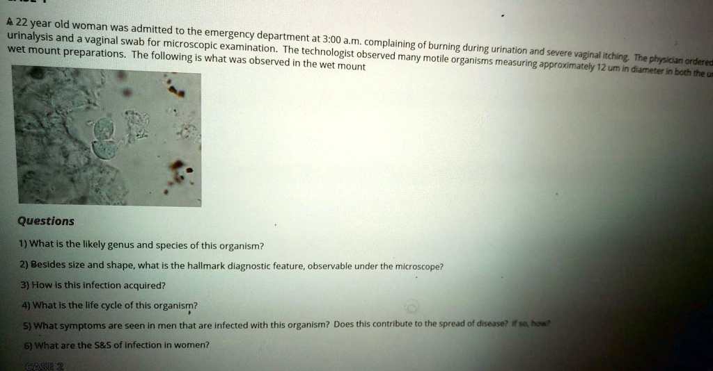 A 22 year old woman was admitted to the emergency department at 3:00 a.m. complaining of burning during urination and severe vaginal itching. The physician ordered urinalysis and a vaginal swab for microscopic examination. The technologist observed many motile organisms measuring approximately 12 um in diameter in both the wet mount preparations. The following is what was observed in the wet mount

Questions
1) What is the likely genus and species of this organism?
2) Besides size and shape, what is the hallmark diagnostic feature, observable under the microscope?
3) How is this infection acquired?
4) What is the life cycle of this organism?
5) What symptoms are seen in men that are infected with this organism? Does this contribute to the spread of disease? If so, how?
6) What are the S   S of infection in women?