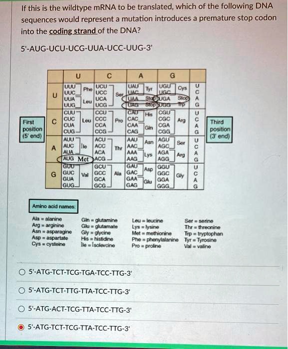 SOLVED: If this is the wild-type mRNA to be translated, which of the ...