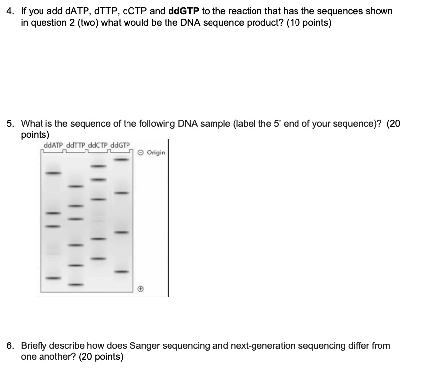 SOLVED: If you add dATP , dTTP , dCTP and ddGTP to the reaction that ...