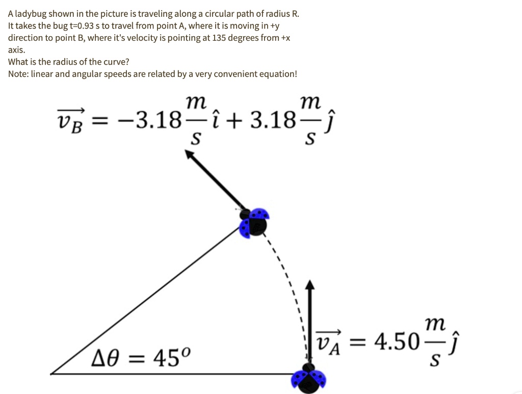 SOLVED: A Ladybug Shown In The Picture Is Traveling Along A Circular ...