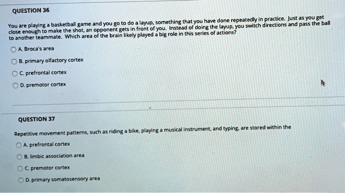 You are playing a basketball game and you go to do a layup, something that you have done repeatedly in practice. Just as you get close enough to make the shot, an opponent gets in front of you. Instead of doing the layup, you switch directions and pass the ball to another teammate. Which area of the brain likely played a big role in this series of actions?
A. Broca's area
B. primary olfactory cortex
C. prefrontal cortex
D. premotor cortex

Repetitive movement patterns, such as riding a bike, playing a musical instrument, and typing, are stored within the
A. prefrontal cortex
B. limbic association area
C. premotor cortex
D. primary somatosensory area