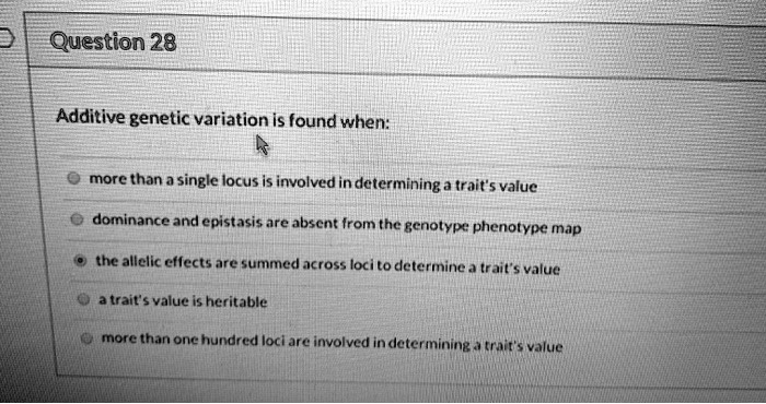 Additive genetic variation is found when:
more than a single locus is involved in determining a trait's value
dominance and epistasis are absent from the genotype phenotype map
the allelic effects are summed across loci to determine a trait's value
a trait's value is heritable
more than one hundred loci are involved in determining a trait's value