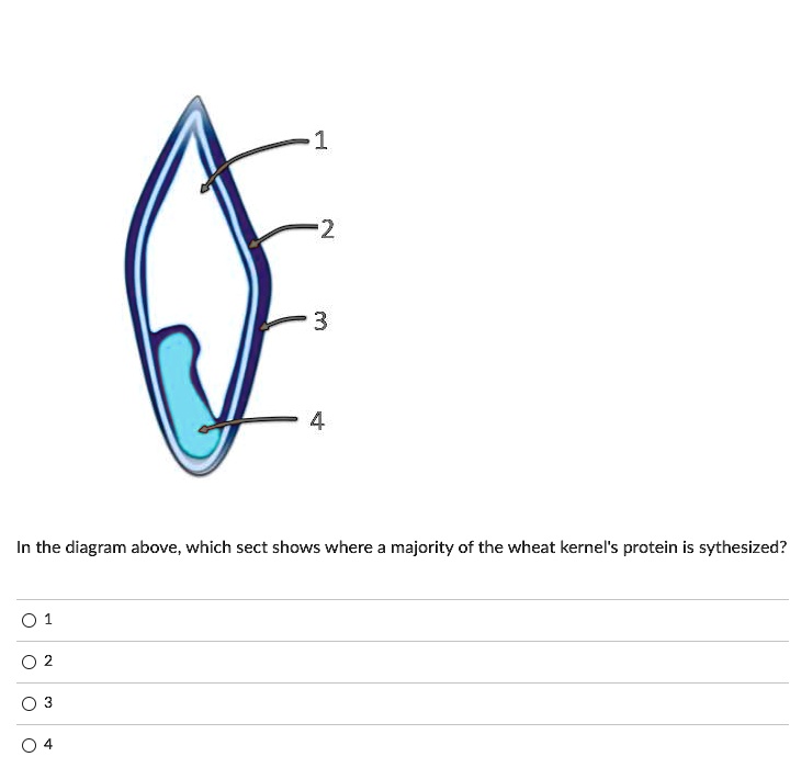 In the diagram above, which section shows where a majority of the wheat