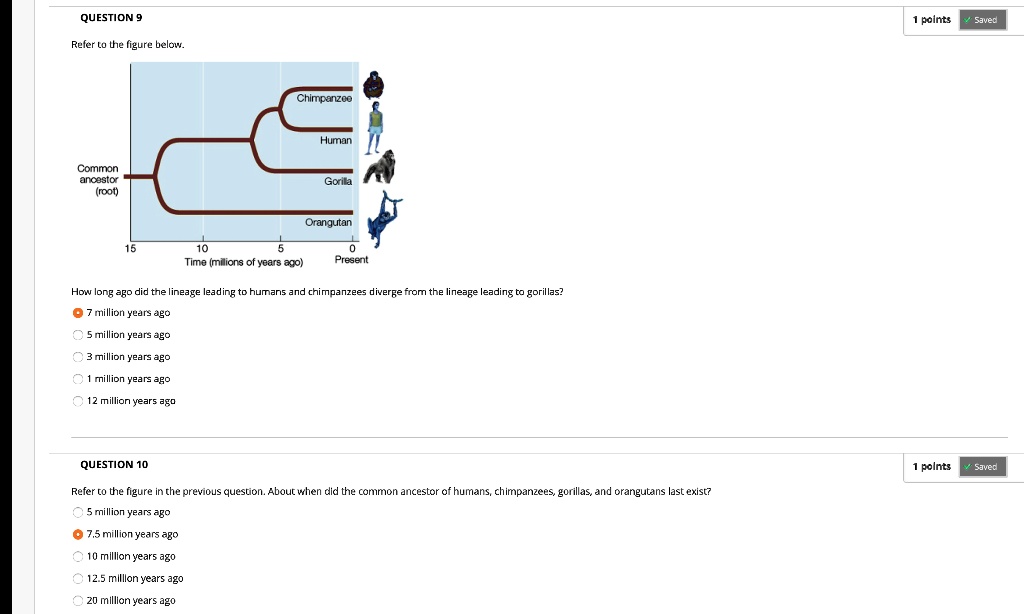 SOLVED: QUESTION 9 Points Saved Refer to the figure below: Chimpanzee