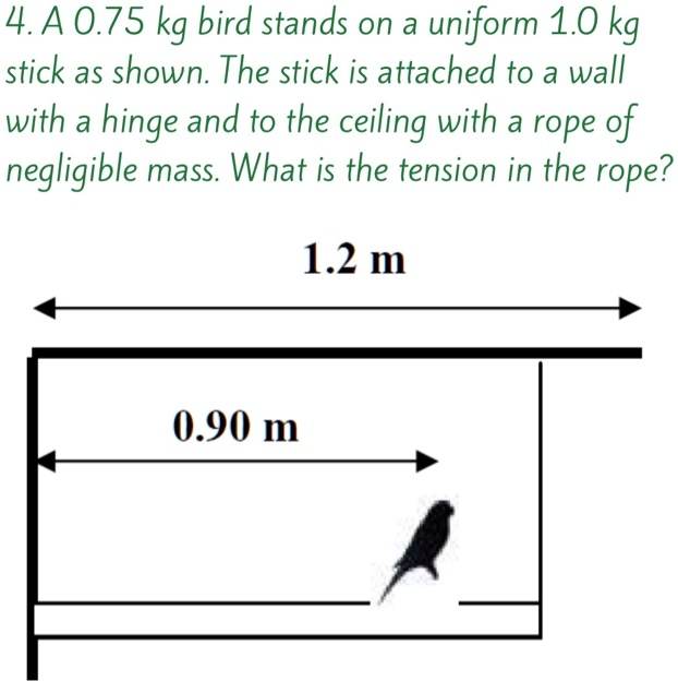 SOLVED 4.A 0.75 kg bird stands on a uniform 1.0 kg stick as shown. The