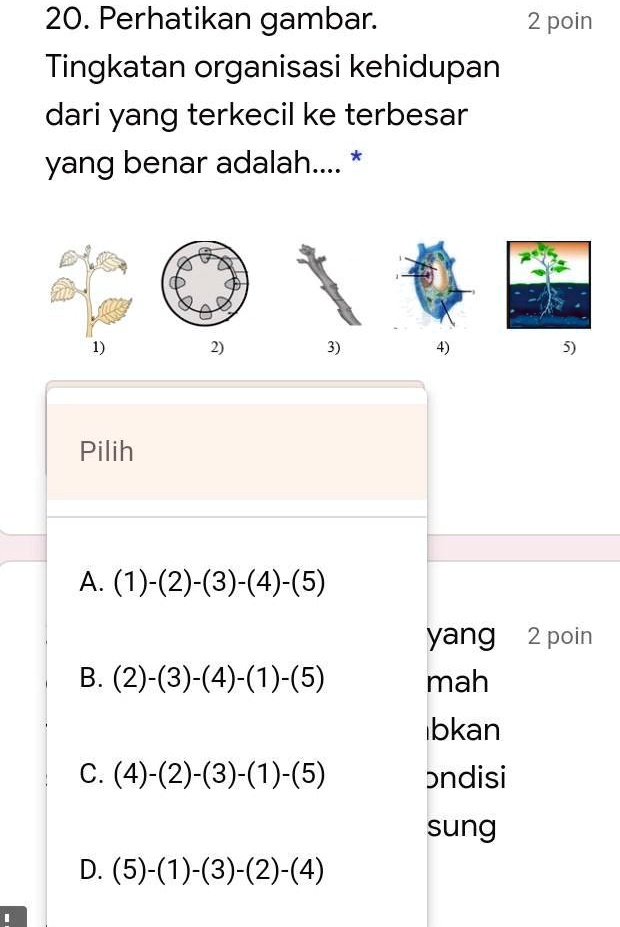 SOLVED: Perhatikan gambar. Tingkatan organisasi kehidupan dari yang ...