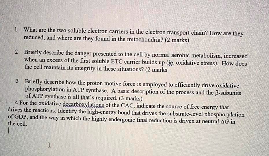 1 What are the two soluble electron carriers in the electron transport chain? How are they reduced, and where are they found in the mitochondria? (2 marks)

2 Briefly describe the danger presented to the cell by normal aerobic metabolism, increased when an excess of the first soluble ETC carrier builds up (ie. oxidative stress). How does the cell maintain its integrity in these situations? (2 marks

3 Briefly describe how the proton motive force is employed to efficiently drive oxidative phosphorylation in ATP synthase. A basic description of the process and the ?-subunits of ATP synthase is all that's required. (3 marks)
4 For the oxidative decarboxylations of the CAC, indicate the source of free energy that drives the reactions. Identify the high-energy bond that drives the substrate-level phosphorylation of GDP, and the way in which the highly endergonic final reduction is driven at neutral ?G in the cell.