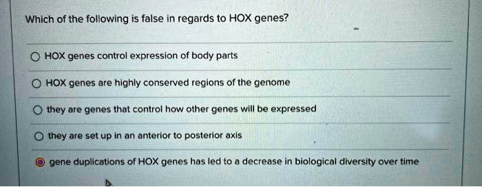 Which of the following is false in regards to HOX genes?
HOX genes control expression of body parts
HOX genes are highly conserved regions of the genome
they are genes that control how other genes will be expressed
they are set up in an anterior to posterior axis
gene duplications of HOX genes has led to a decrease in biological diversity over time