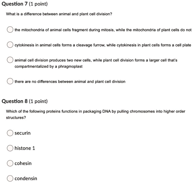 What is the difference between animal and plant cell division? The ...