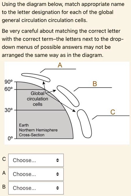 Using the diagram below, match appropriate name to the letter ...