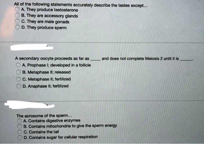 All of the following statements accurately describe the testes except...
A. They produce testosterone
B. They are accessory glands
C. They are male gonads
D. They produce sperm

A secondary oocyte proceeds as far as  and does not complete Meiosis 2 until it is .
A. Prophase I; developed in a follicle
B. Metaphase II; released
C. Metaphase II; fertilized
D. Anaphase II; fertilized

The acrosome of the sperm...
A. Contains digestive enzymes
B. Contains mitochondria to give the sperm energy
C. Contains the tail
D. Contains sugar for cellular respiration