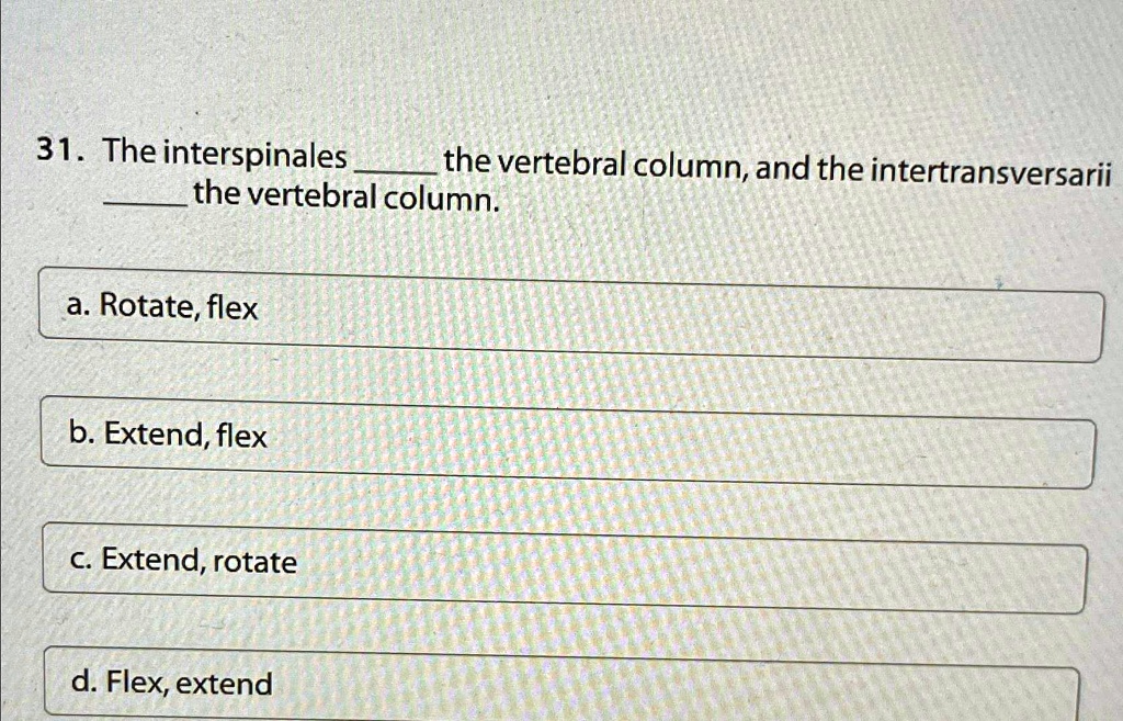 [GET ANSWER] 31. The interspinales the vertebral column, and the ...